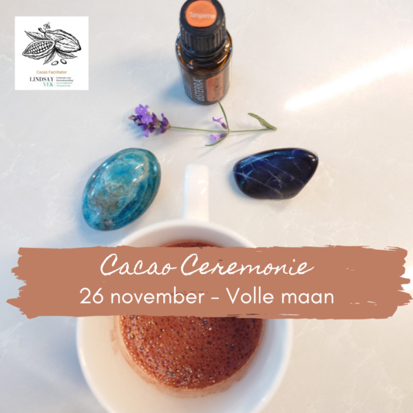 Cacao Ceremonie in Natuurhuis Dichtby