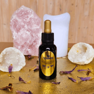 Transformatie Traject Blauwe Lotus 2026